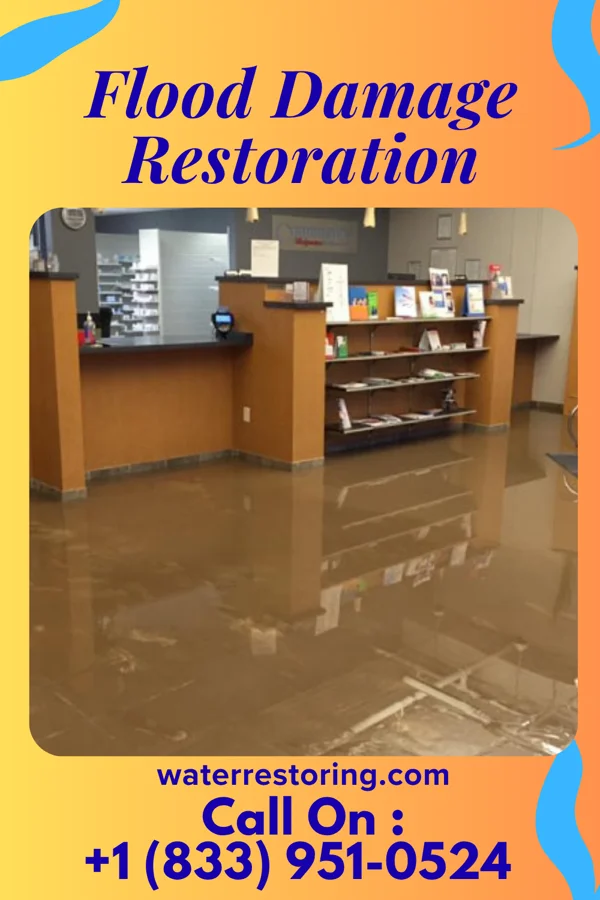 Flood Damage Restoration in Chelsea, MI