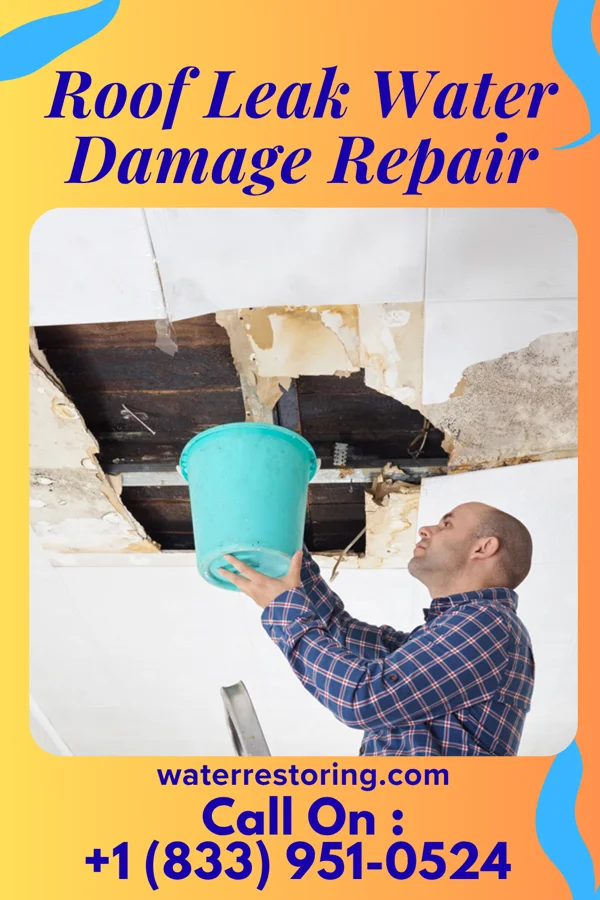 Roof Leak Water Damage Repair in Chelsea, MI