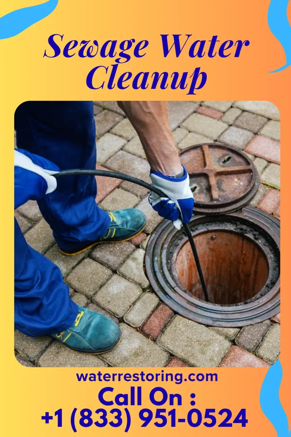 Sewage Water Cleanup in Chelsea, MI